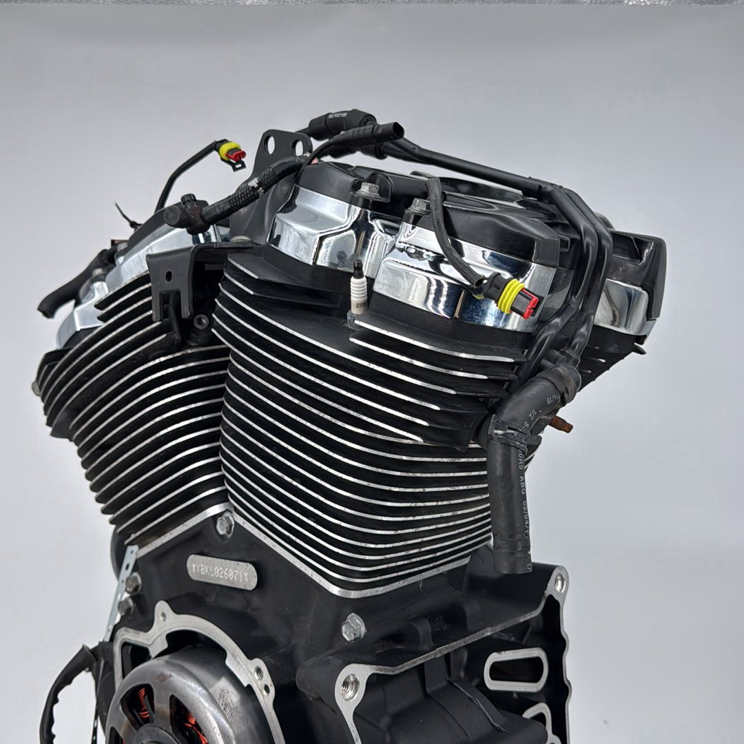 2017 - 2026 Harley-Davidson Softail Heritage Classic 114 EFI Milwaukee M8 114 Engine Motor 16200655