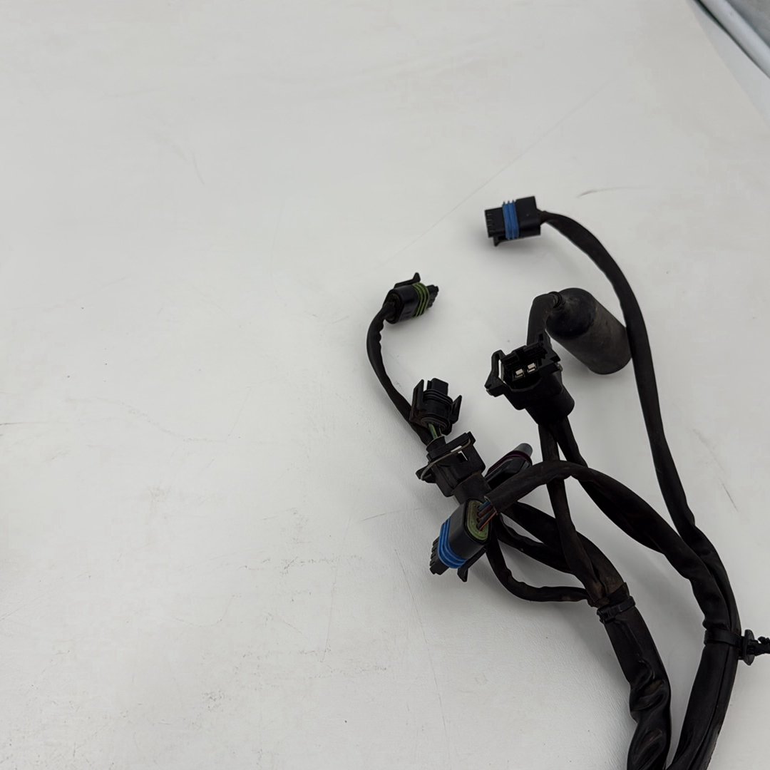 1999 - 2006 Harley-Davidson Touring Road King Custom EFI Fuel Injector Engine Wiring Wire Harness 70233-04A