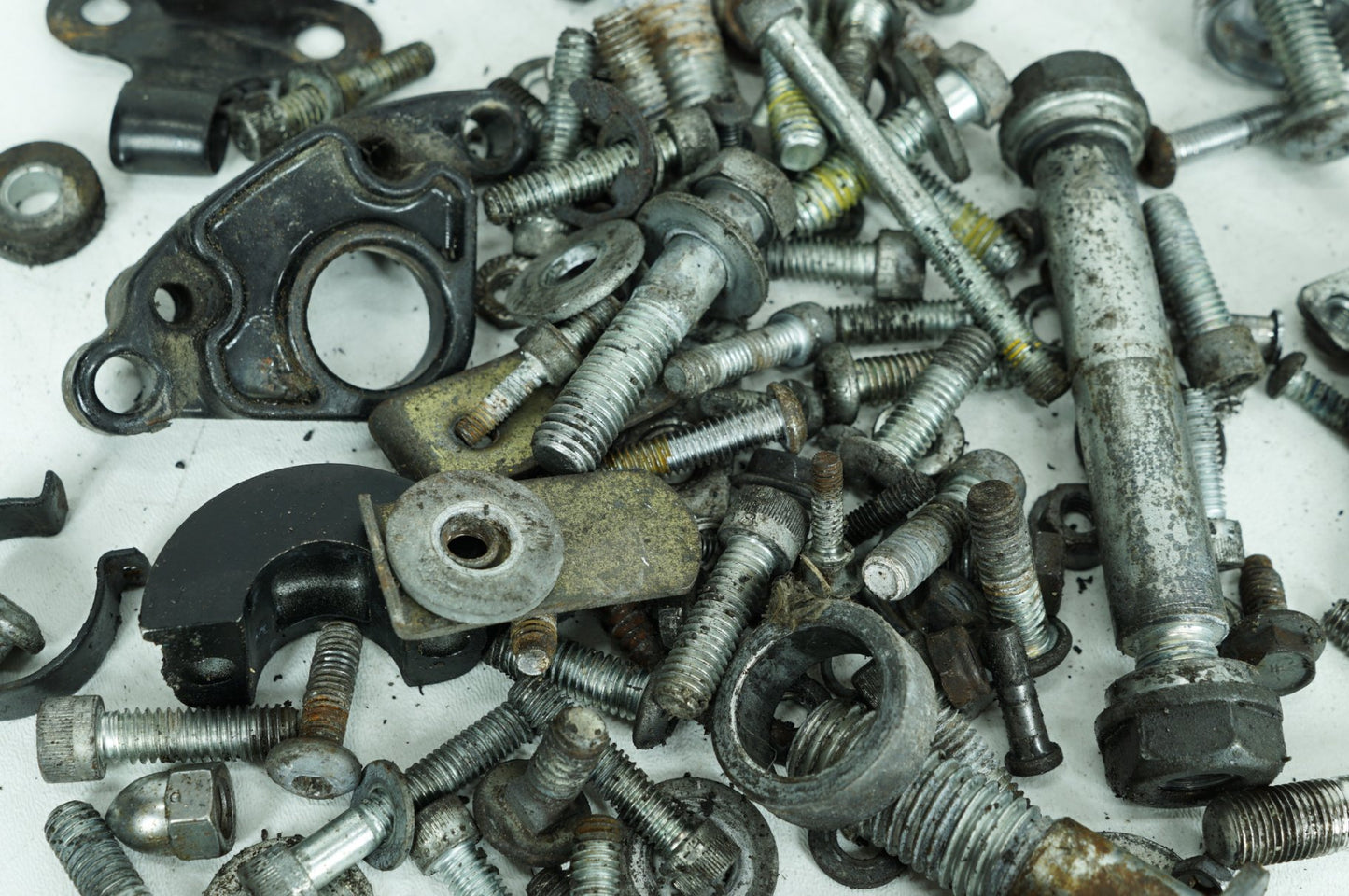 2004 - 2013 Harley-Davidson Sportster Low Hardware Bolts Nuts & Brackets