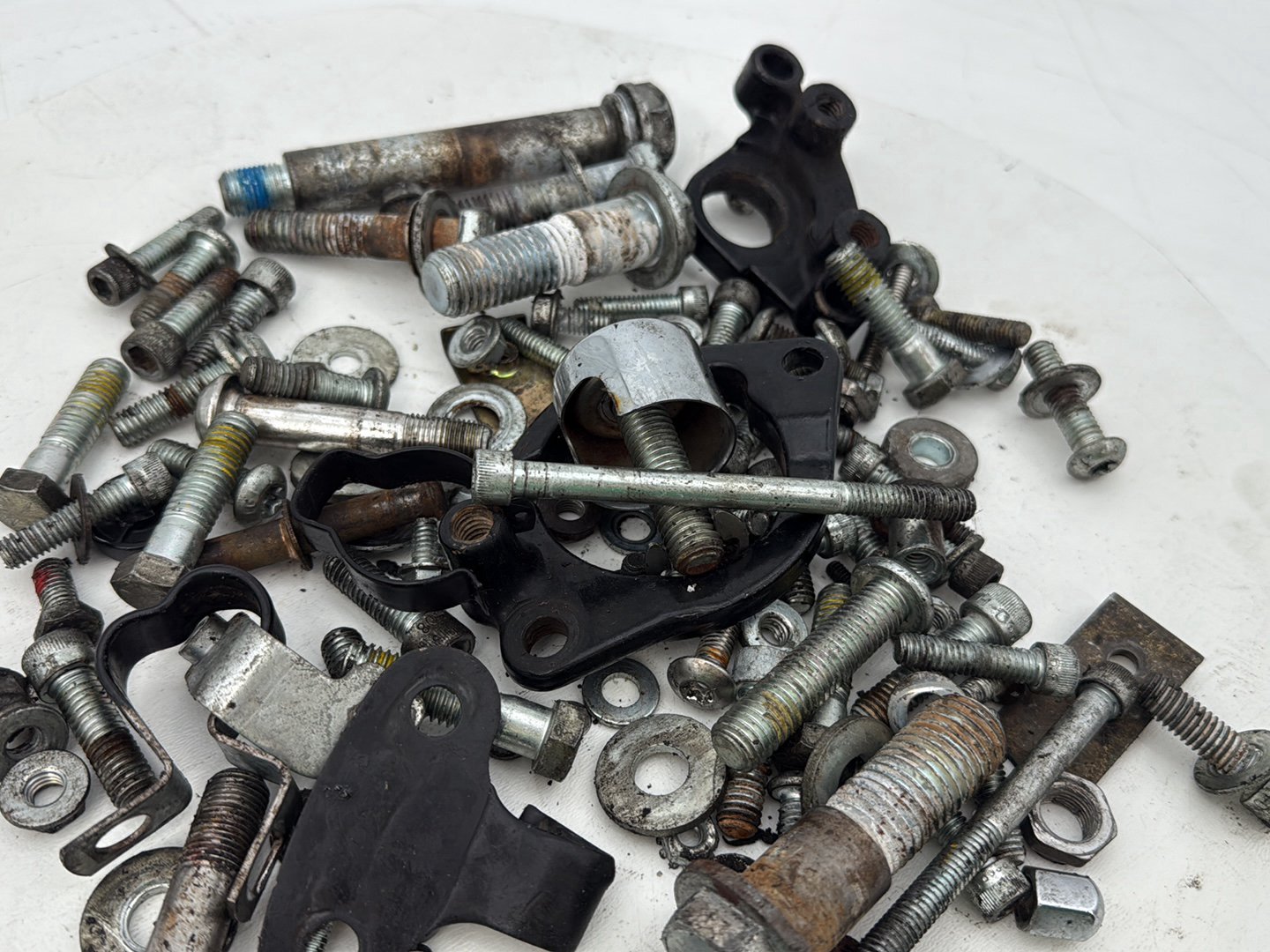 2004 - 2013 Harley-Davidson Sportster 1200 Custom Hardware Bolts Nuts & Brackets