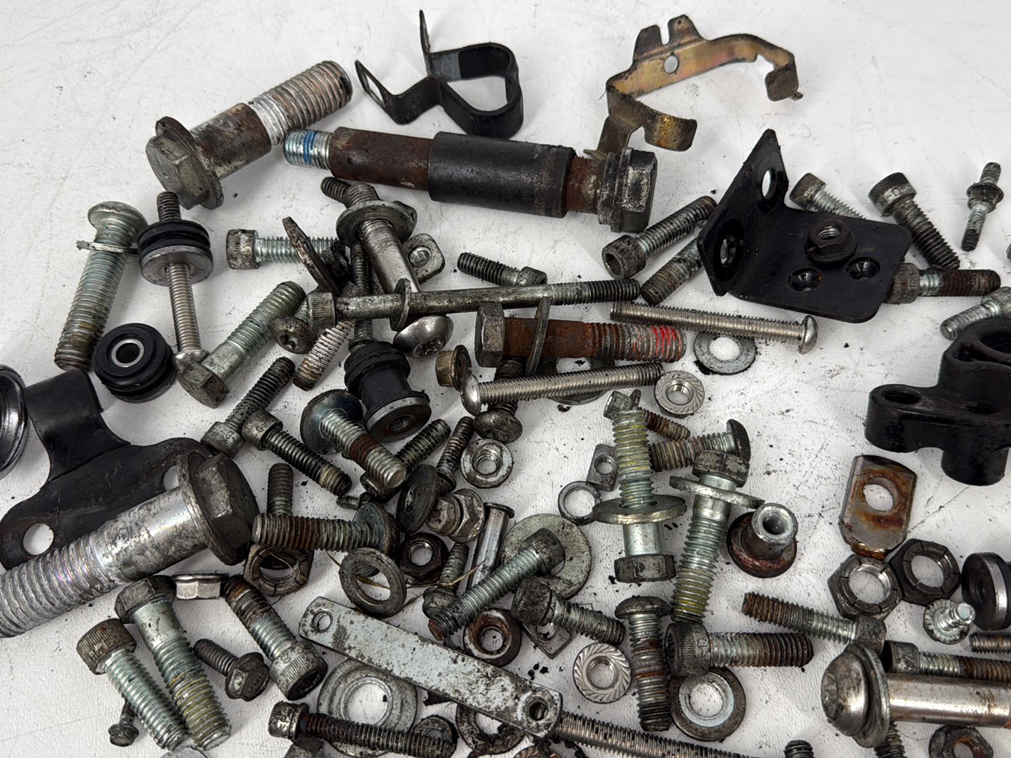 2005 Harley Sportster XL883C 883 Custom OEM Hardware Bolts Nuts & Brackets