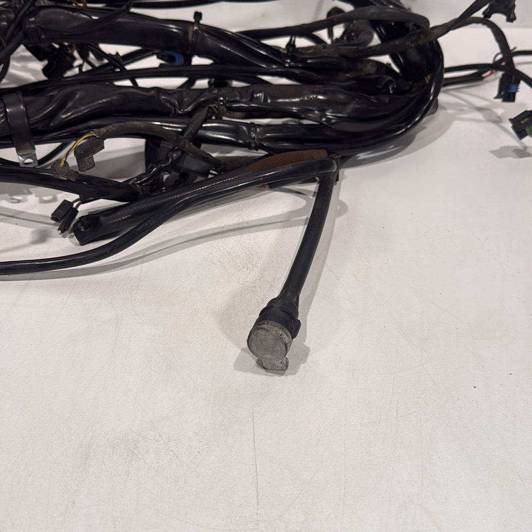 1999 - 2006 Harley-Davidson Touring Electra Glide Ultra Main Wire Wiring Harness Loom 70985-05