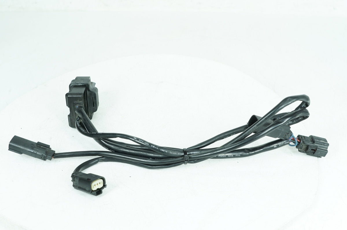Harley Electrical & ECU