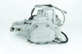 Harley Transmission & Clutch