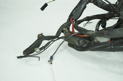 1999 - 2006 Harley-Davidson Touring Road King Police Main Wire Wiring Harness Loom 70245-99