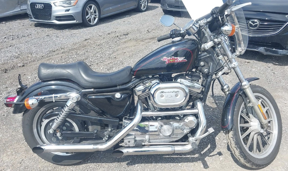 1991-2003 Harley-Davidson Sportster 1200 Custom XL1200C
