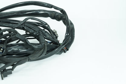 1999 - 2006 Harley-Davidson Touring Electra Glide Ultra Main Wire Wiring Harness Loom 70985-02