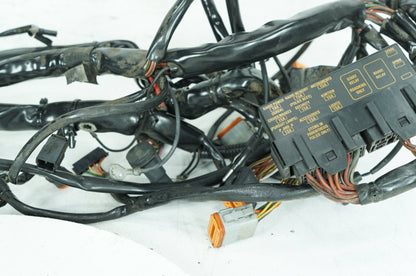 1999 - 2006 Harley-Davidson Touring Electra Glide Main Wire Wiring Harness Loom  	70985-02