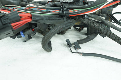 2004 - 2022 Harley-Davidson Sportster SuperLow Main Wire Wiring Harness Loom NON-abs 69200072B