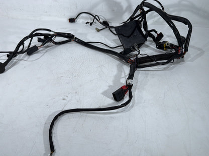 1998 Harley Softail Custom FXSTC OEM Main Wire Wiring Harness Loom