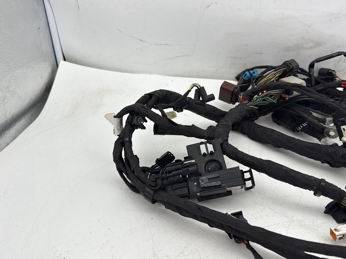 2019 Harley Softail Street Bob FXBB OEM Main Wire Wiring Harness Loom NON-abs