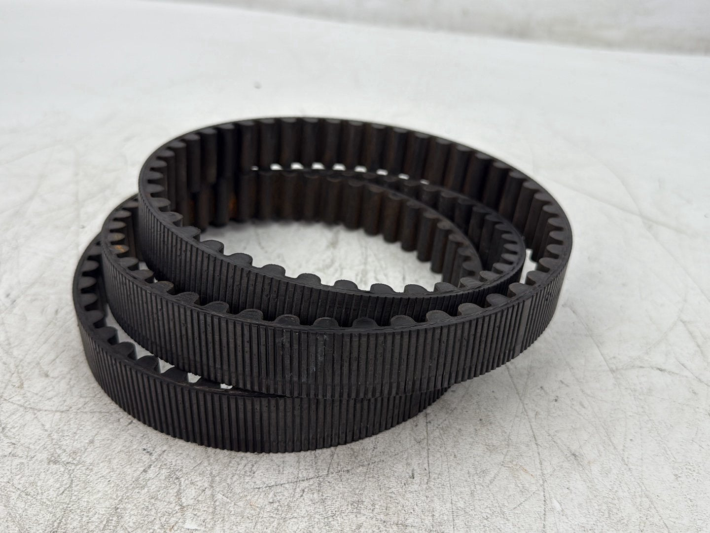 1997 Harley Sportster 1200 Custom XL1200C OEM Rear Drive Belt