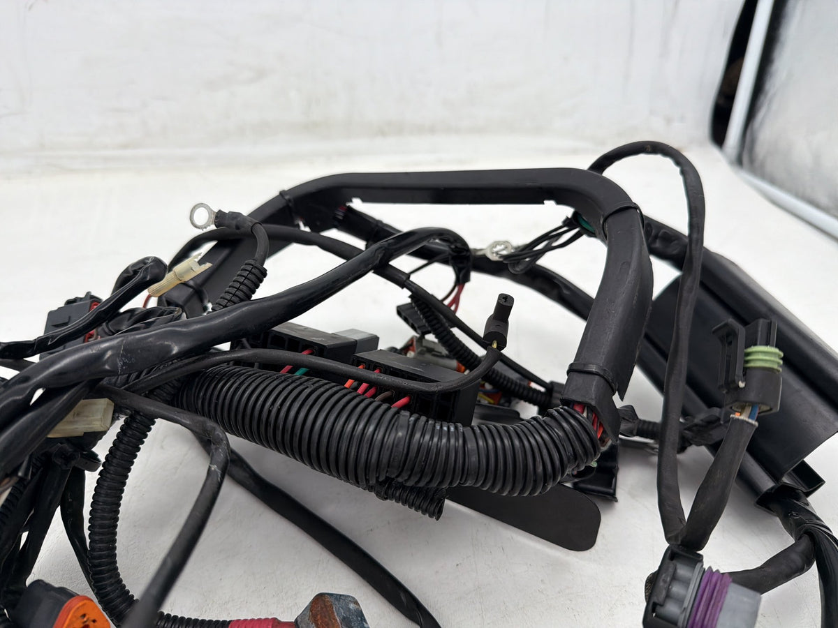 2001 Harley Softail Deuce FXSTD OEM Main Wire Wiring Harness Loom CARB