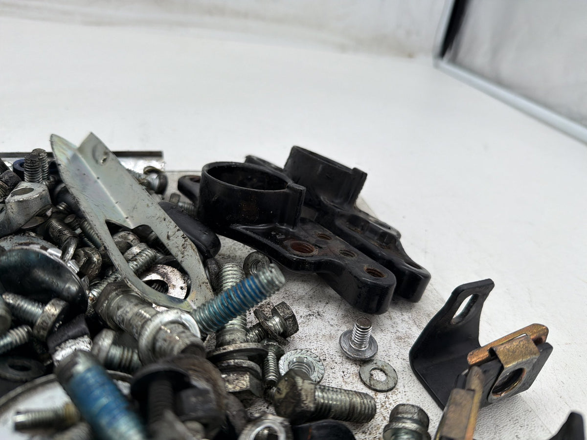 2007 Harley Electra Glide Touring CVO Eagle OEM Hardware Bolts Nuts & Brackets