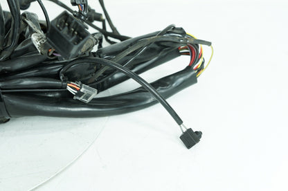 1999 - 2006 Harley-Davidson Touring Electra Glide Classic Main Wire Wiring Harness Loom 70985-01