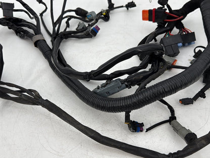 2006 - 2017 Harley-Davidson Dyna Street Bob Main Wire Wiring Harness Loom 69602-06