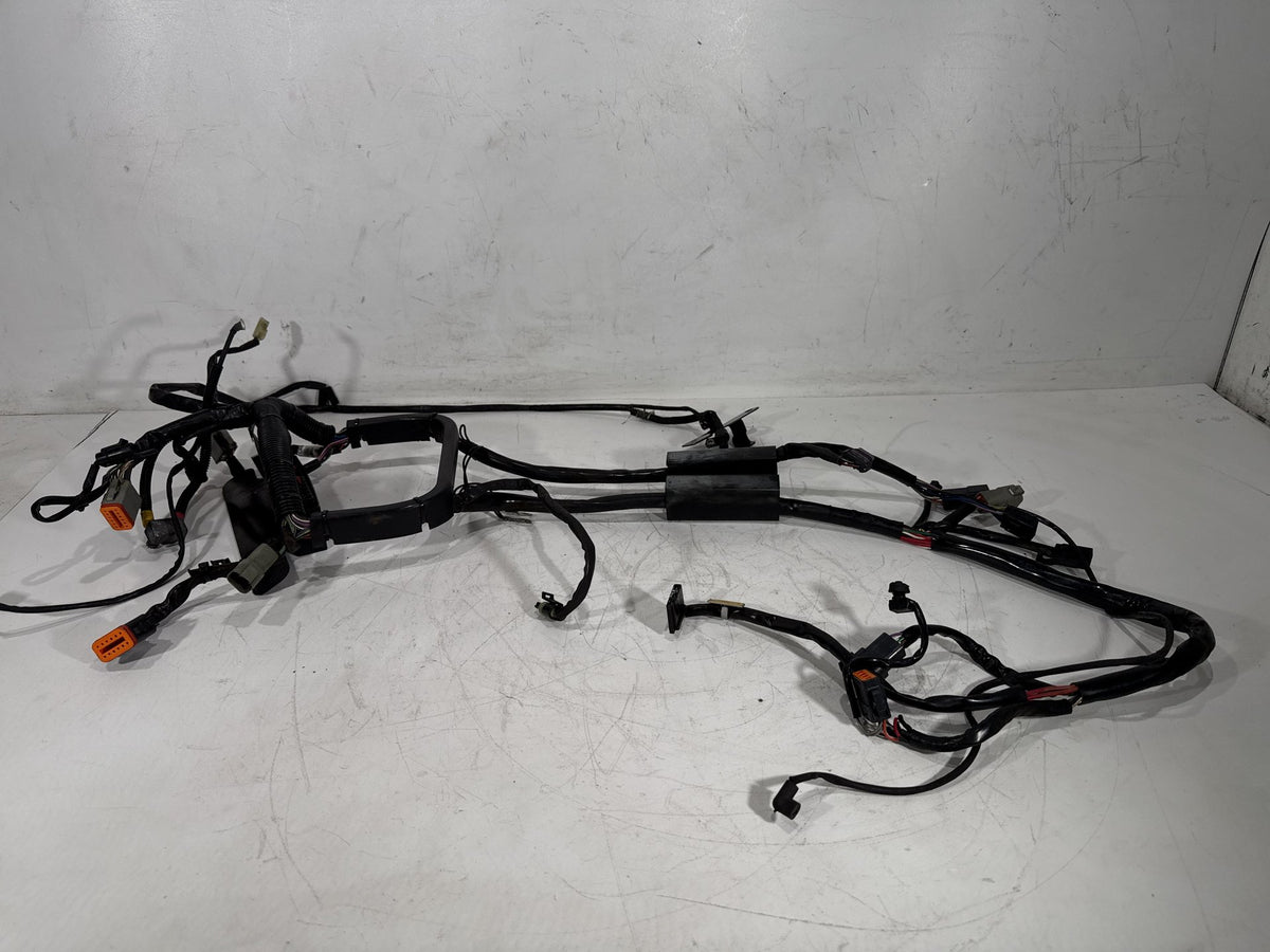 2001 Harley Softail Standard FXST OEM Main Wire Wiring Harness Loom CARB