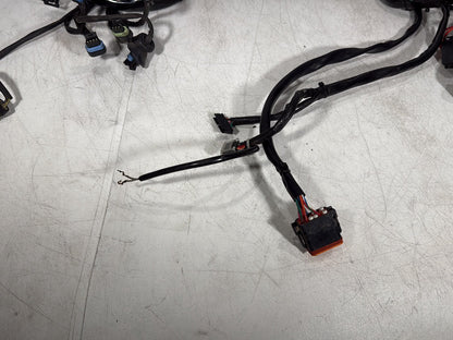 1999 - 2006 Harley-Davidson Touring Electra Glide Classic Main Wire Wiring Harness Loom  	70985-00