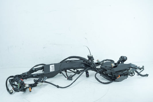 2007 - 2011 Harley-Davidson Touring Electra Ultra Main Wire Wiring Harness Loom ABS 70121-09