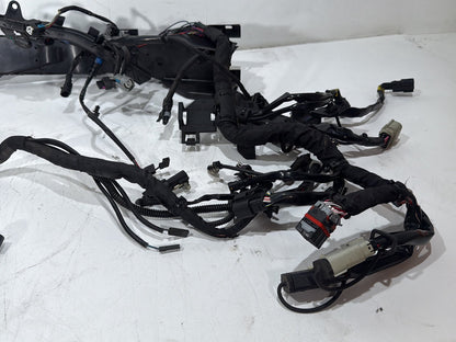 2018 Harley Electra Glide Touring Ultra FLHTCU OEM Main Wire Wiring Harness Loom ABS