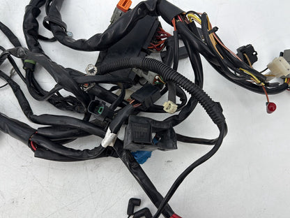 1999 - 2006 Harley-Davidson Touring CVO Screamin Eagle Road King Main Wire Wiring Harness Loom 70245-03