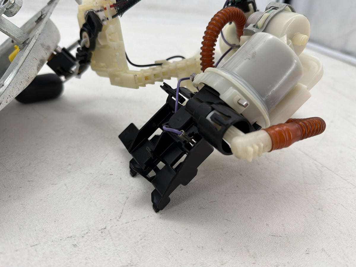 2016 Harley Dyna Fat Bob FXDF 103 OEM Gas Gasoline Fuel Petrol Pump Sending