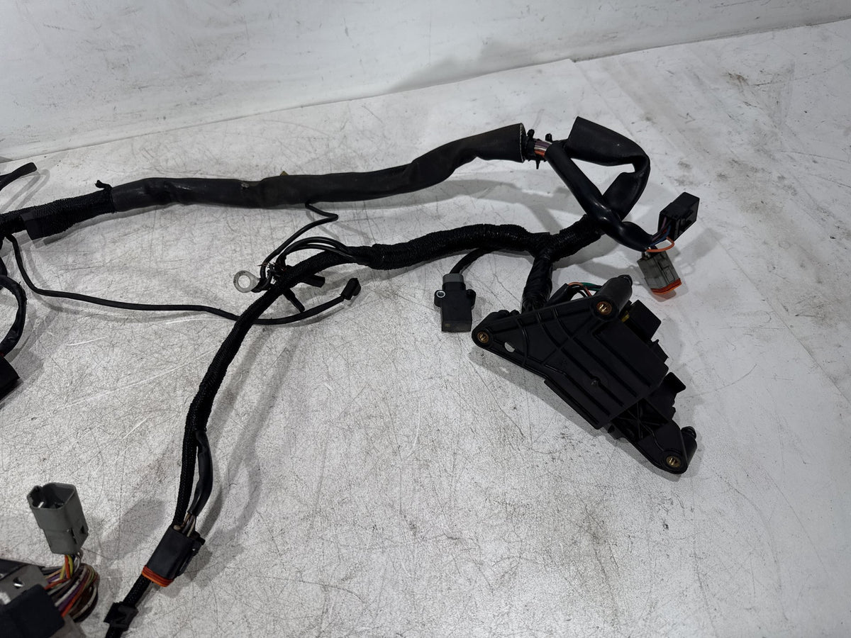 2000 Harley Sportster 1200 Custom XL1200C OEM Main Wire Wiring Harness Ignition Switch NOKey