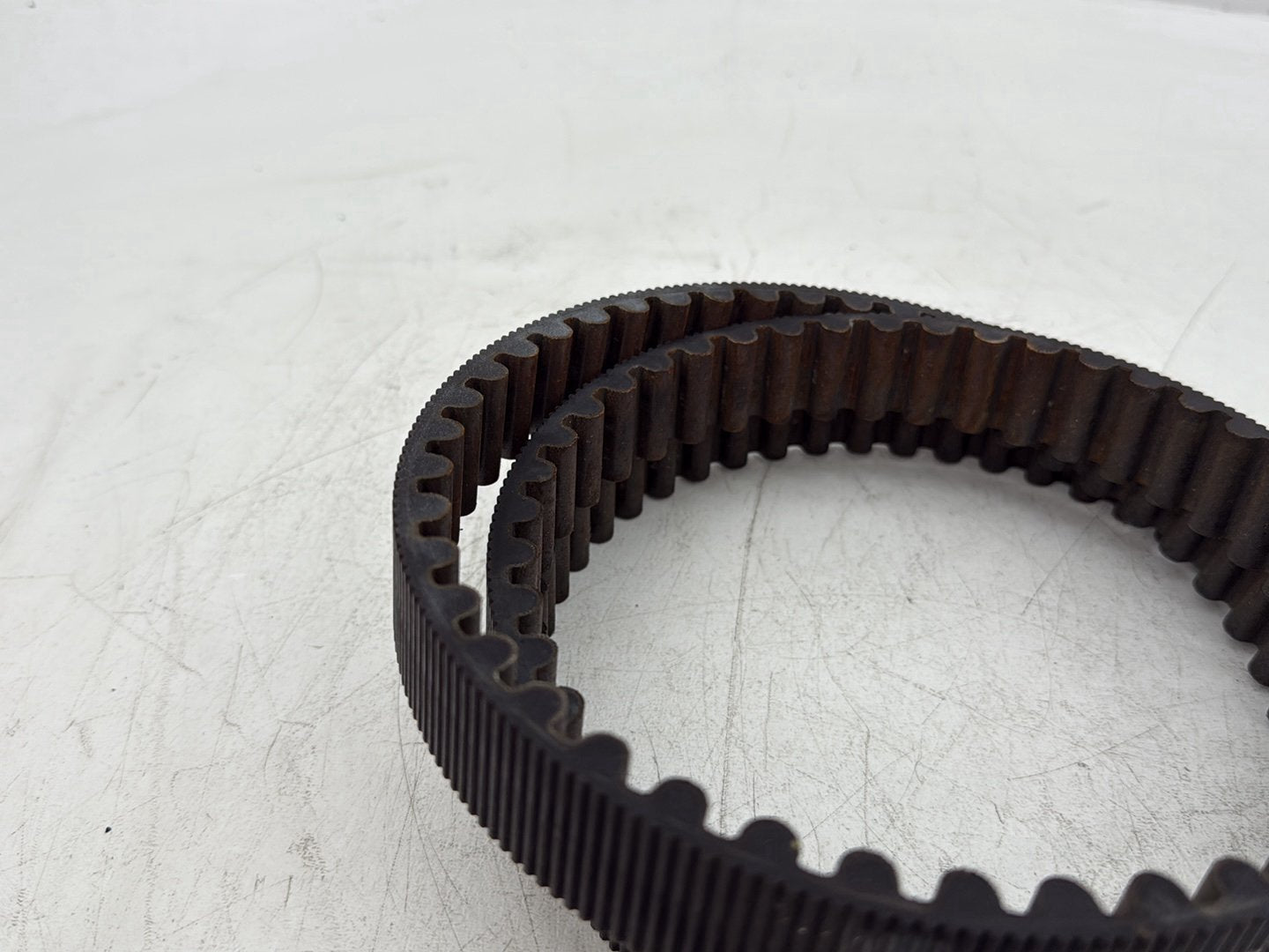 2005 Harley Dyna FXDWG Wide Glide OEM Rear Drive Belt