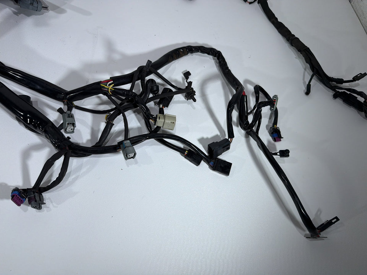 2008 Harley Softail Custom FXSTC OEM Main Wire Wiring Harness Loom