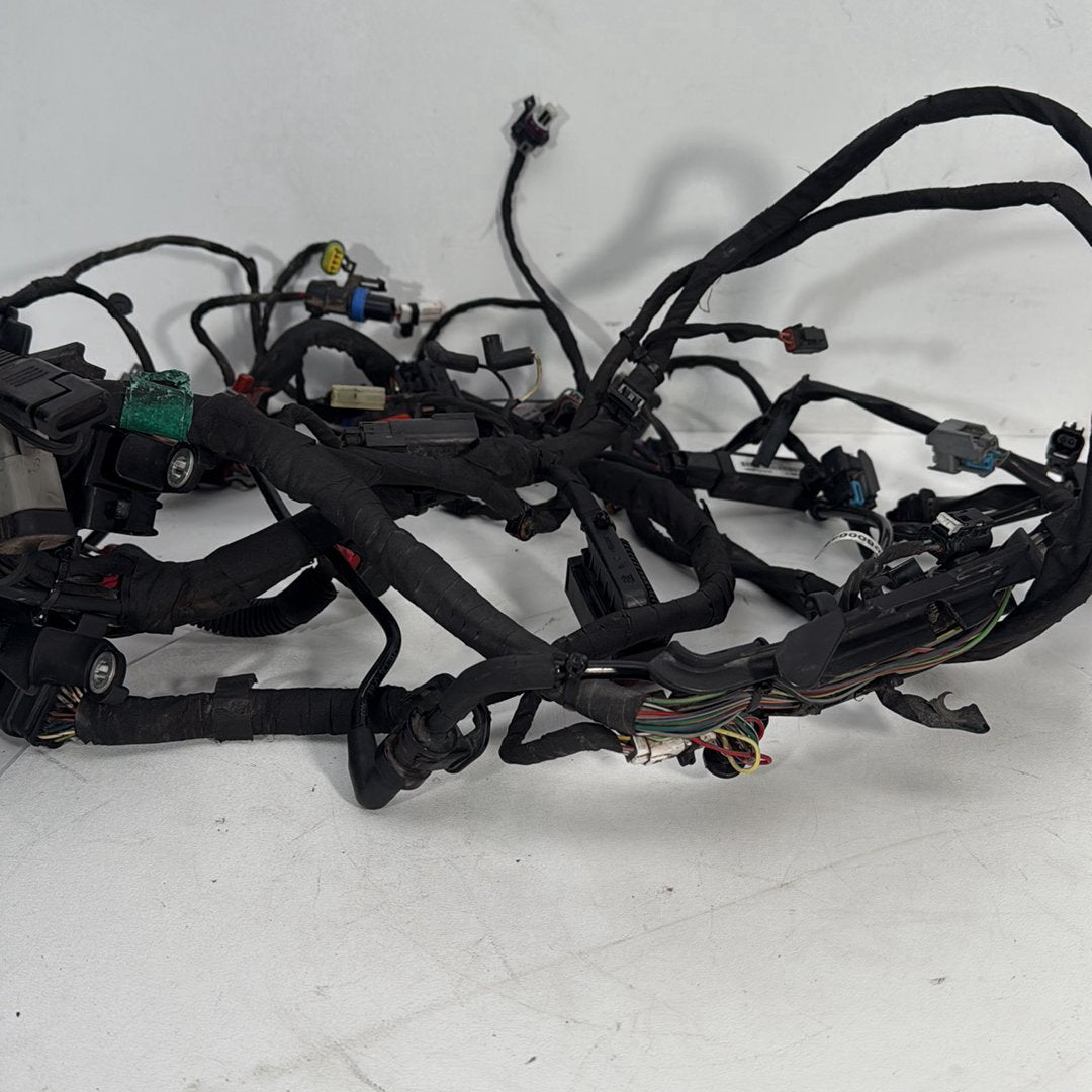 2017 - 2026 Harley-Davidson Softail Heritage Classic 114 Main Wire Wiring Harness Loom ABS 69201492