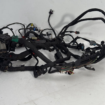 2017 - 2026 Harley-Davidson Softail Heritage Classic 114 Main Wire Wiring Harness Loom ABS 69201492
