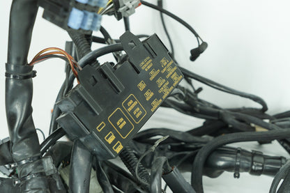 1999 - 2006 Harley-Davidson Touring Electra Glide Ultra Main Wire Wiring Harness Loom 70985-02