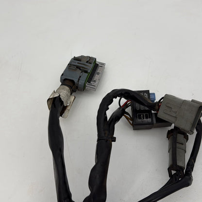 1999 - 2006 Harley-Davidson Touring Road King Custom EFI Fuel Injector Engine Wiring Wire Harness 70233-04A