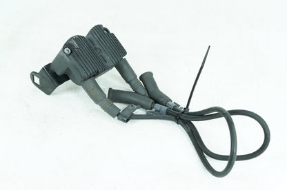 1999 - 2006 Harley-Davidson Touring Electra Glide Classic Ignition Coil Spark Plugs Cable 31743-01