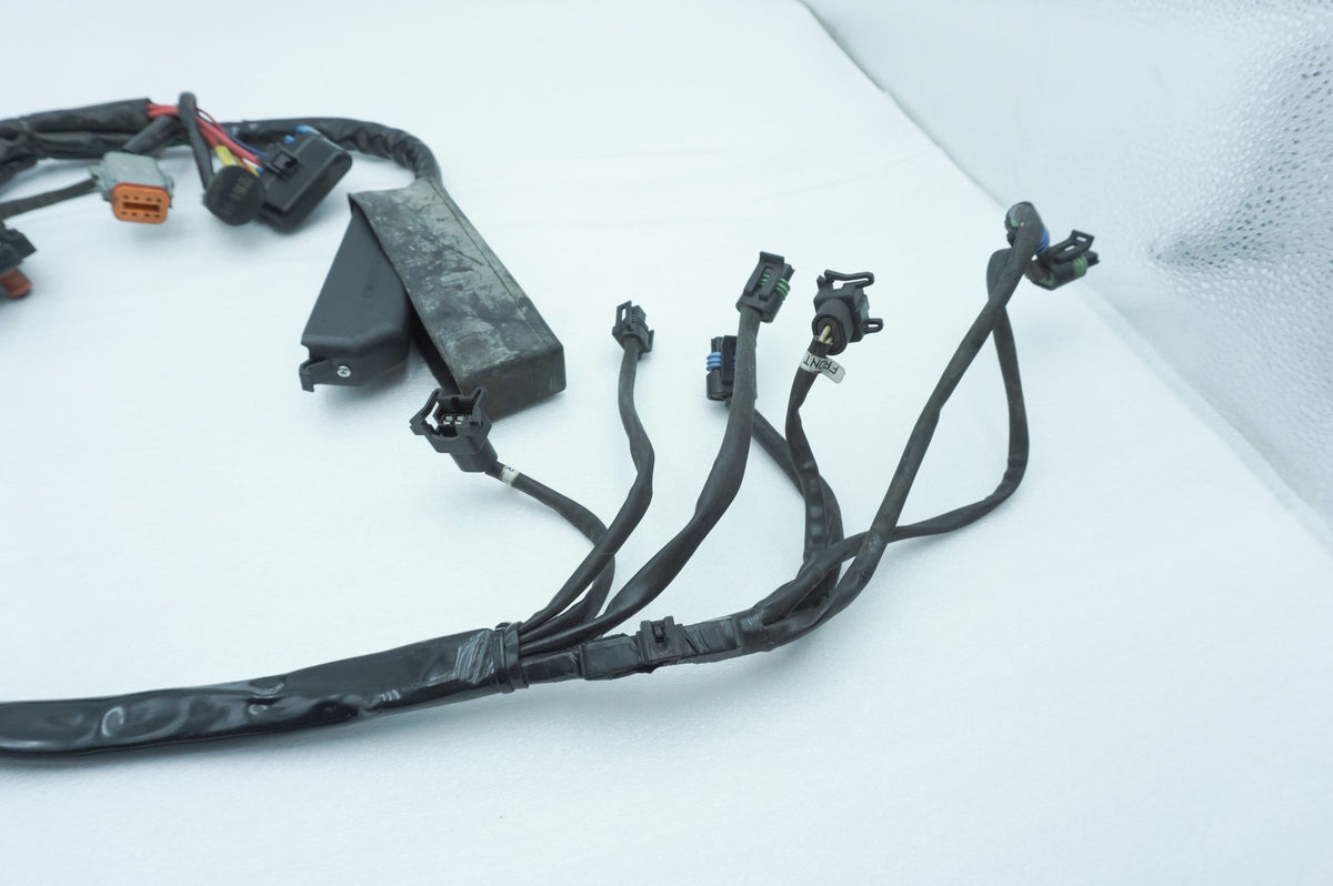 Wire Harness Loom Plug In Connector, 2001, Harley-Davidson, Touring, Electra Ultra, FLHTCUI