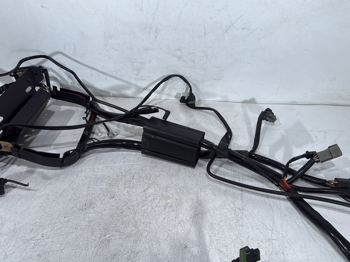 2005 Harley Softail Fat Boy FLSTF OEM Main Wire Wiring Harness Loom CARB
