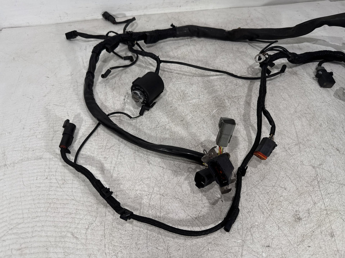 2000 Harley Sportster 1200 Custom XL1200C OEM Main Wire Wiring Harness Ignition Switch NOKey