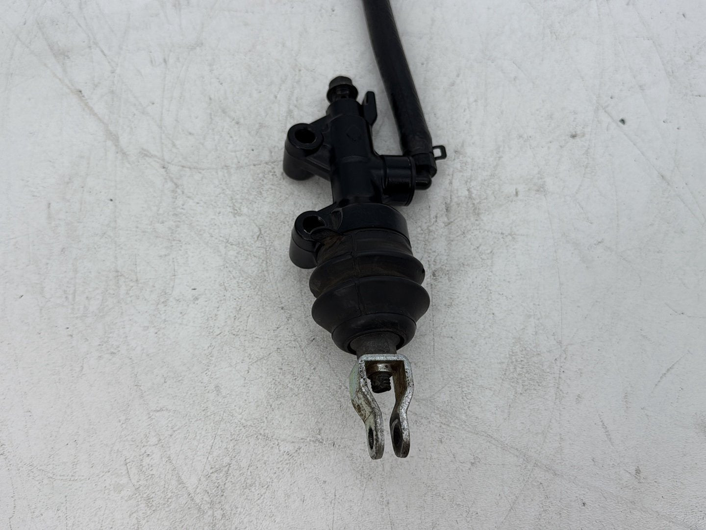 2009 Harley Sportster 883 Low XL883L OEM Rear Brake Line Master Cylinder Reservoir Tank