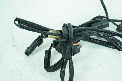 2017 - 2025 Harley-Davidson Touring Electra Glide Ultra Wire Wiring Harness Plug In Connectors