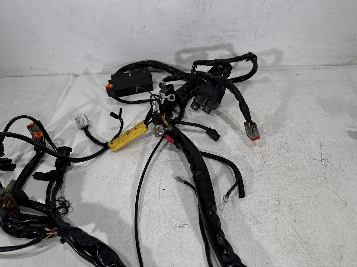 2002 Harley Electra Glide Touring Classic OEM Main Wire Wiring Harness Loom CARB