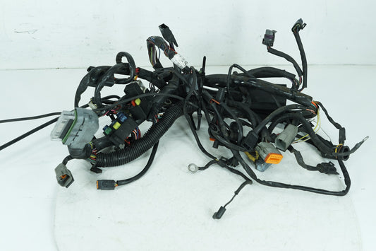2000 - 2006 Harley-Davidson Softail Deuce Main Wire Wiring Harness Loom 70216-01