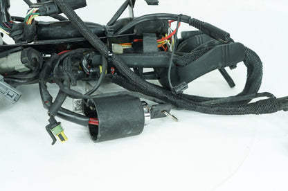 2004 - 2022 Harley-Davidson Sportster 883 Main Wire Wiring Harness Loom 70181-07