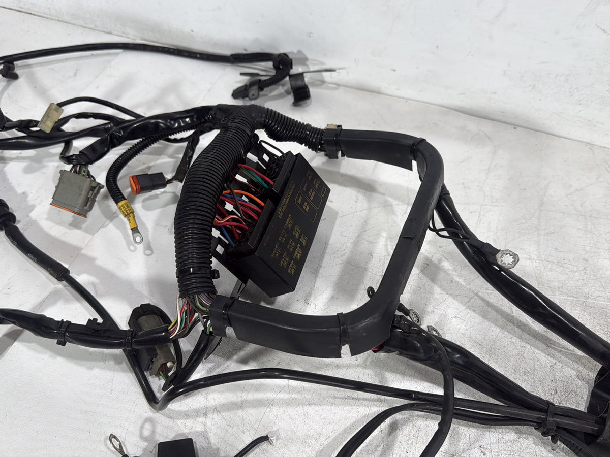 2005 Harley Softail Fat Boy FLSTF OEM Main Wire Wiring Harness Loom CARB