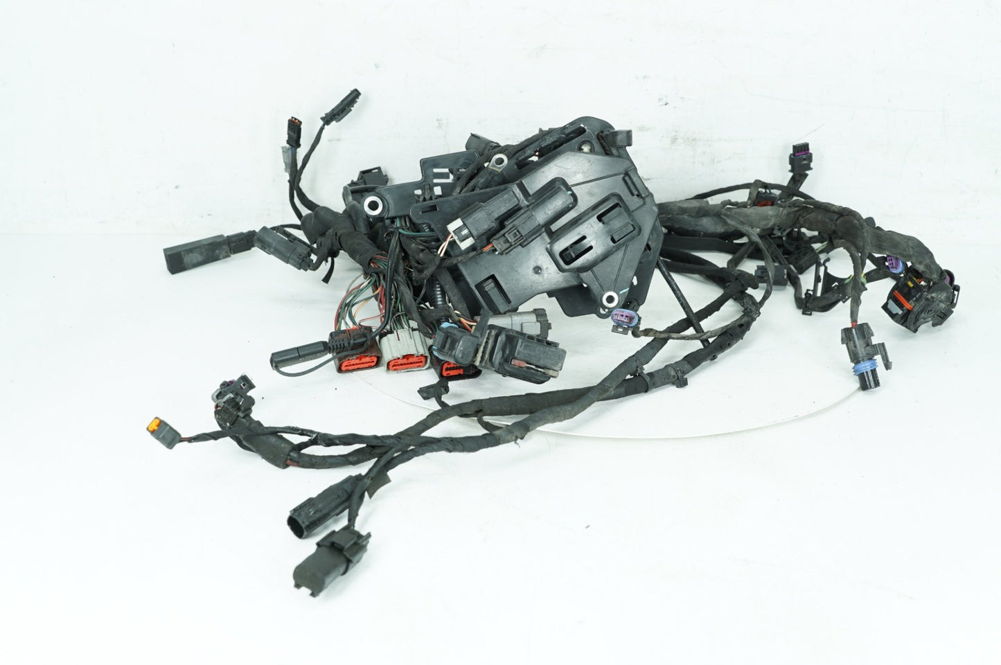 2018 - 2026 Harley-Davidson Softail Low Rider S Main Wire Wiring Harness Loom ABS 69201492