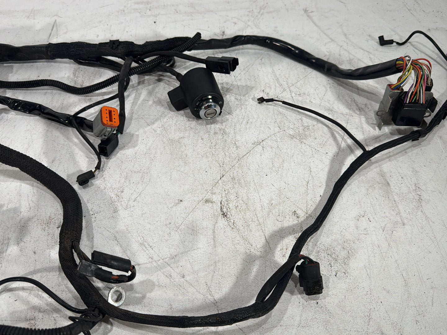 1997 Harley Sportster 1200 Custom XL1200C OEM Main Wire Wiring Harness Ignition Switch NOKey