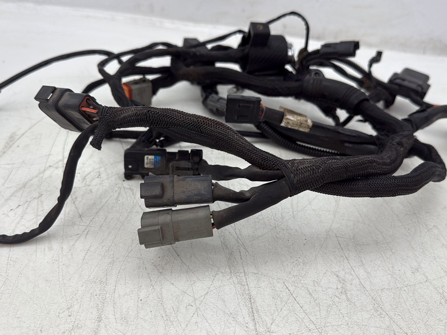 2004 Harley Sportster XL883C 883 Custom OEM Main Wire Wiring Harness Ignition Switch NOKey