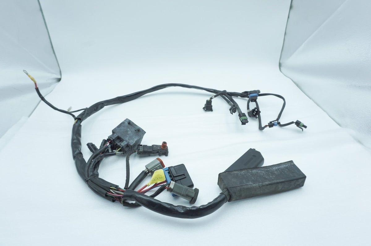 Wire Harness Loom Plug In Connector, 2001, Harley-Davidson, Touring, Electra Ultra, FLHTCUI