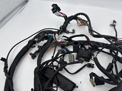 1999 - 2006 Harley-Davidson Touring Electra Glide Classic Main Wire Wiring Harness Loom 70985-01