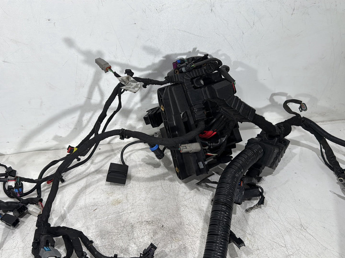 2014 Harley Dyna Low Rider FXDL OEM Main Wire Wiring Harness Loom NON-abs