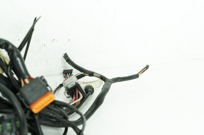 1999 - 2006 Harley-Davidson Touring Electra Glide Ultra Main Wire Wiring Harness Loom 70985-03